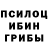 Галлюциногенные грибы MAGIC MUSHROOMS Oleksandr Lytovka