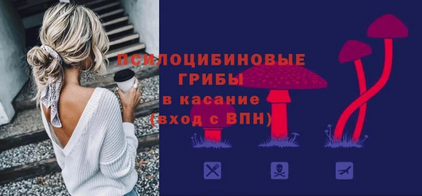 a pvp Няндома