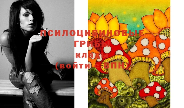 героин Новозыбков