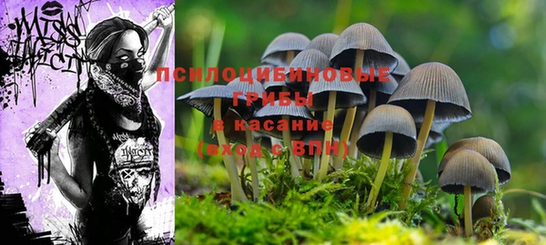 синтетический гашиш Новокубанск