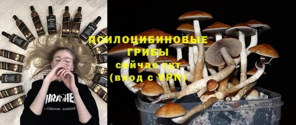 a pvp Няндома