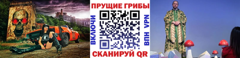 Псилоцибиновые грибы прущие грибы  Ивдель 